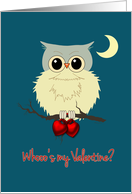 Valentine’s Day Cute Owl Humor with Red Hearts Whoo’s my Valentine? card