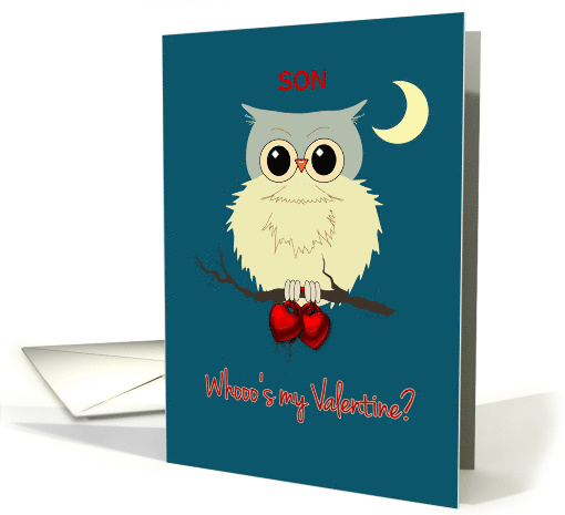 Son Valentine's Day Cute Owl Humor Whoo's my Valentine? card (1213936)