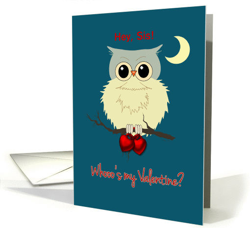 Sister Valentine's Day Cute Owl Humor Whoo's my Valentine? card