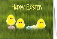 Happy Easter Cute Chicks in Green Grass with Speckled Eggs card