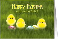 Niece Easter Cute Chicks in Green Grass with Speckled Eggs card