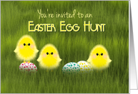 Easter Egg Hunt Invitation Cute Chicks in Grass Speckled Eggs card