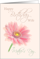 Wife Mother’s Day Birthday Pink Gerbera Daisy on Shell Pink card