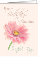 Grandma Mother’s Day Birthday Pink Gerbera Daisy on Shell Pink card