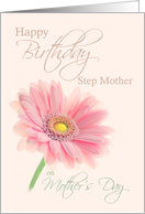 Step Mother Mother’s Day Birthday Pink Gerbera Daisy on Shell Pink card