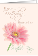 Sister in Law Mother’s Day Birthday Pink Gerbera Daisy on Shell Pink card