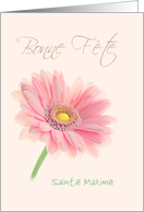 Bonne Fete Name Day France Pink Gerbera Daisy on Shell Pink Custom card