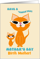 Birth Mother Mother’s Day Cute Ginger Cats Mother Kitten Sunglasses card