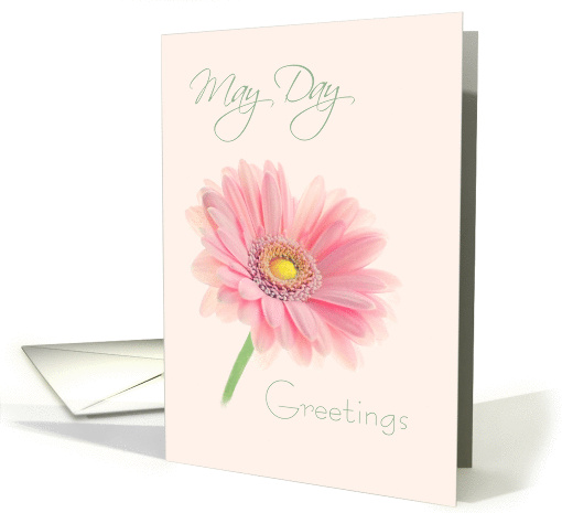 May Day Greetings Pink Gerbera Daisy on Shell Pink card (1274654)