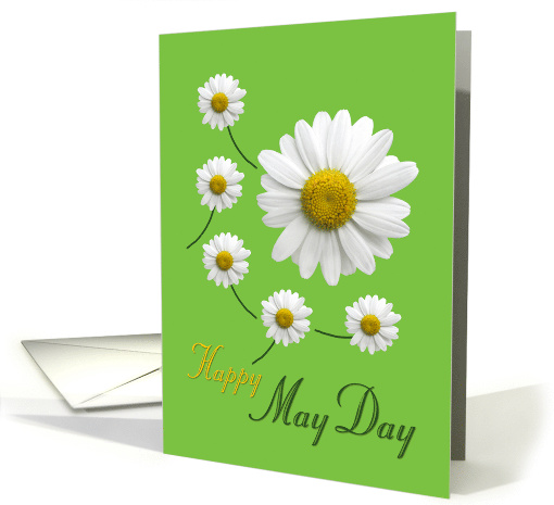 Happy May Day Daisy Design on Spring Green card (1274666)
