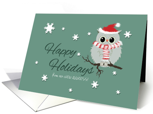 New Address Custom Christmas Cute Owl Scarf Santa Hat... (1323488)