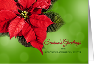 Season’s Greetings Poinsettia from Garden or Nursery Business card