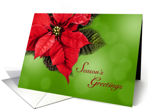 Red Poinsettia Season's Greetings Classic Business card (1406304)