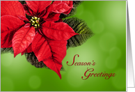 Red Poinsettia Season’s Greetings Classic Business card