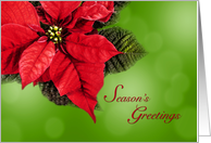 Red Poinsettia Season’s Greetings Elegant card