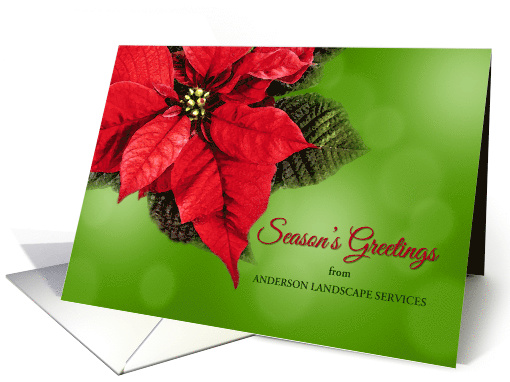 Season's Greetings Poinsettia from Garden Services... (1406320)