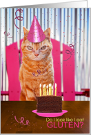 Gluten-Free Birthday Humor with Cranky Ginger Cat in Birthday Hat card