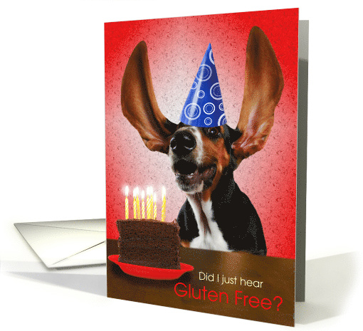Gluten-Free Birthday Cake and Excited Party Dog Basset Hound card