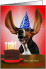 Gluten-Free Birthday Cake and Excited Party Dog Basset Hound card