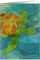 Turtle Reptile Blank Any Occasion Note card