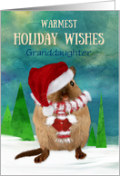 Granddaughter Christmas Custom Santa Gerbil in Winter Scene card