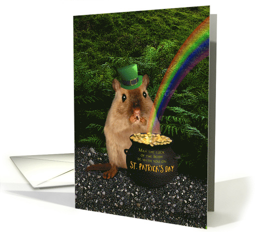 Lucky Irish Gerbil St. Patrick's Day Pot O' Gold and Rainbow card