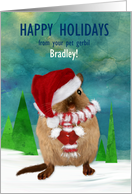From Pet Gerbil Happy Holidays in Santa Hat Scarf and Mittens Custom card