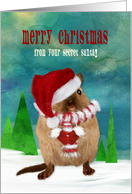 Secret Santa Merry Christmas Gerbil in Santa Hat Scarf Mittens Custom card