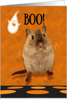 Ghostly Boo Spooked Jumping Gerbil Halloween card