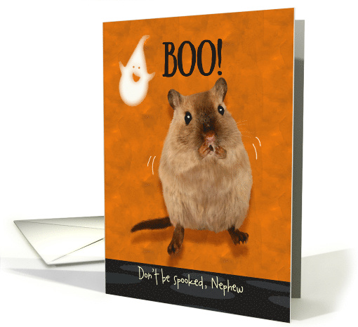 Nephew Ghostly Boo Spooked Jumping Gerbil Halloween Custom card