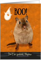 Nephew Ghostly Boo Spooked Jumping Gerbil Halloween Custom card