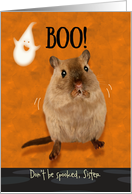 Sister Ghostly Boo Spooked Jumping Gerbil Halloween Custom card