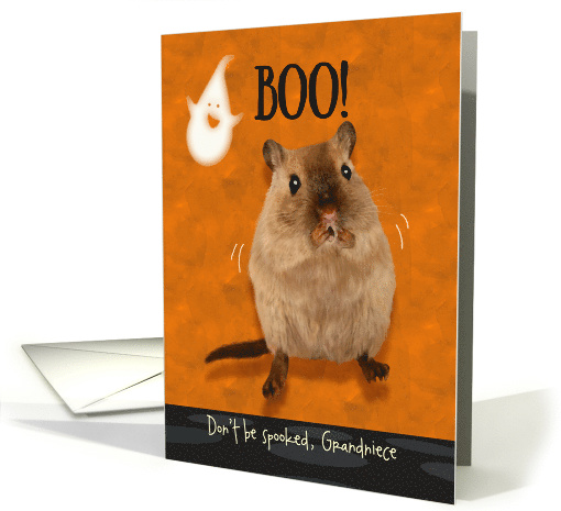 Grandniece Ghostly Boo Spooked Jumping Gerbil Halloween Custom card