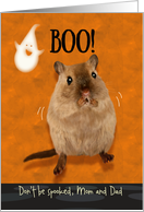 Mom and Dad Ghostly Boo Spooked Jumping Gerbil Halloween Custom card