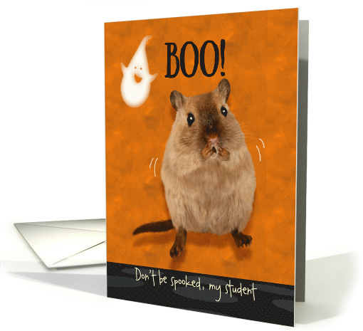 Student Ghostly Boo Spooked Gerbil Halloween Custom card (1544206)