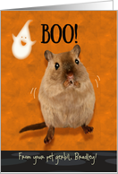 From Pet Gerbil Bradley Ghostly Boo Spooked Gerbil Halloween Custom Name card