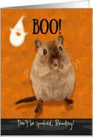 Custom Name Bradley Halloween Ghostly Boo Spooked Gerbil Humor card