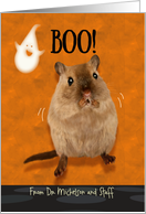 From Veterinary Practice Halloween Ghostly Boo Spooked Gerbil Humor card