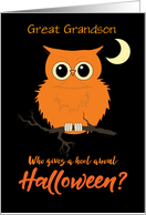 Great Grandson Halloween Owl Hoot Humor card