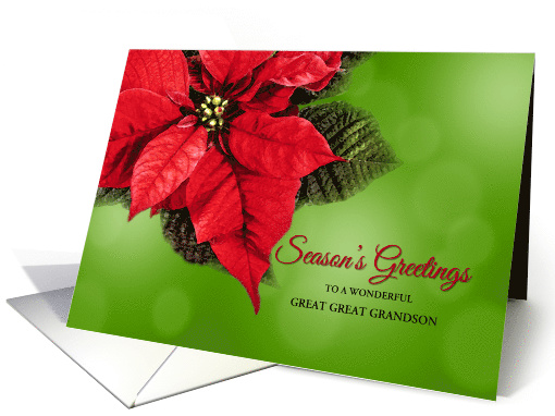 Great Great Grandson Poinsettia Season's Greetings Custom Text card