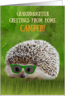 Granddaughter Greetings Camper Summer Camp Hedgehog Sunglasses Vibe card