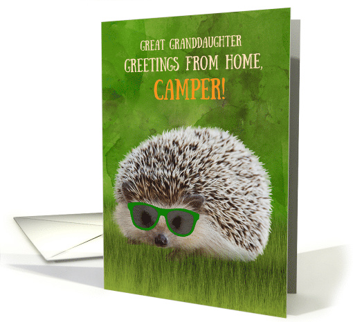 Great Granddaughter Greetings Camper Summer Camp Hedgehog... (1571158)