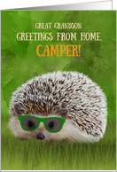 Great Grandson Greetings Camper Summer Camp Hedgehog Sunglasses Vibe card