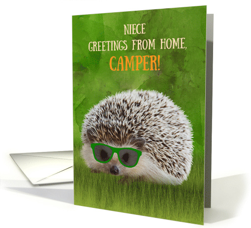 Niece Greetings Camper Summer Camp Hedgehog Sunglasses Vibe card