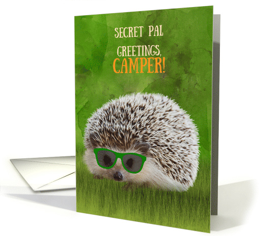 Secret Pal Greetings Camper Summer Camp Hedgehog Cool... (1571174)