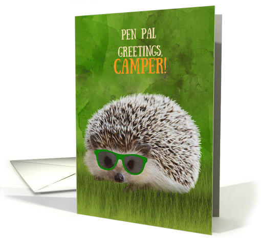 Pen Pal Greetings Camper Summer Camp Hedgehog Cool... (1571176)