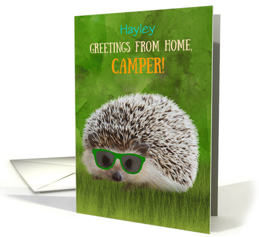 Custom Name Greetings Camper Summer Camp Hedgehog Cool... (1571178)