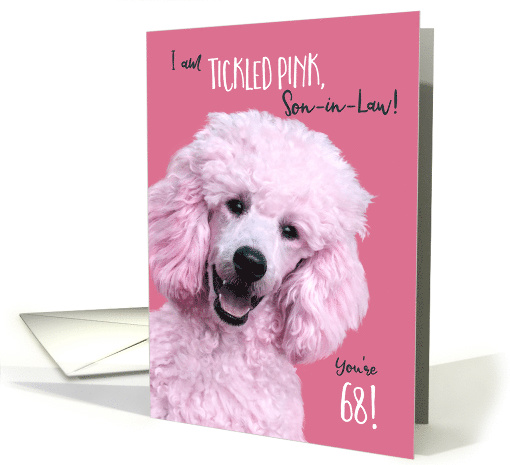 Son in Law 68th Birthday I AM Tickled Pink Poodle Dog card (1572978)