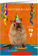 Customize Brother in Law 70th Birthday Shocked Gerbil Party Hat Humor card