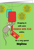 Nephew Chinese New Year of the Rat Fun Swinging Lantern Red Envelope card